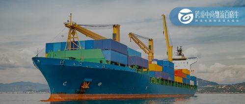 連續(xù)五年增長，XX港口吞吐量增長10% 絲網(wǎng)制品及進(jìn)出口業(yè)務(wù)成關(guān)鍵驅(qū)動(dòng)力